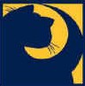 5cat.JPG (8456 bytes)