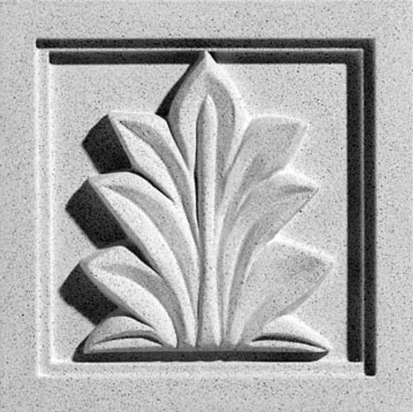 PINEAPPLE GROVE DESIGNS