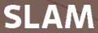 the S L A M collaborative