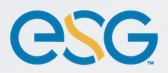 ESG ENERGY SYSTEMS GROUP