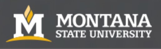 MONTANA STATE UNIVERSITY