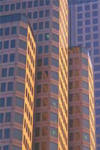 Trammel Crow  Company